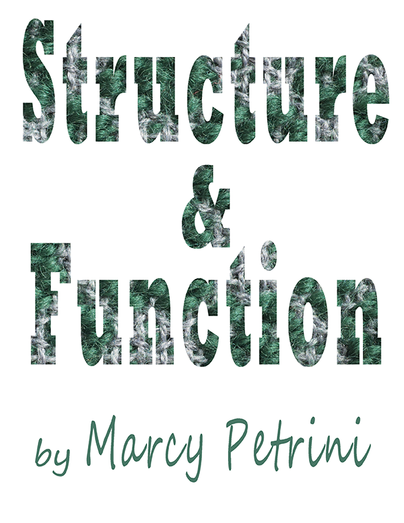 (image for) eBook: Structure and Function - Click Image to Close